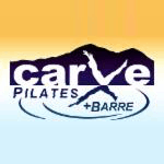 Carve Logo